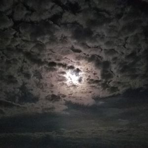 Meet your Posher, Lynda